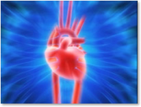 Cardiology