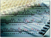 DNA Sequencing