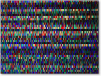 Genetics Disorders