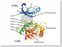 Proteomics