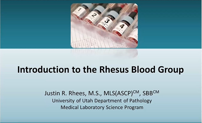 Introduction to the Rhesus Blood Group